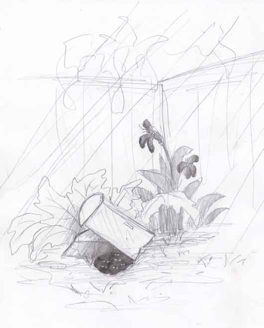 garden2